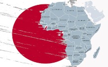 Japanese and African business professionals meeting